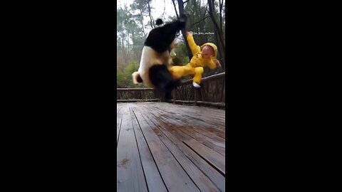 Baby Fight with Panda😱