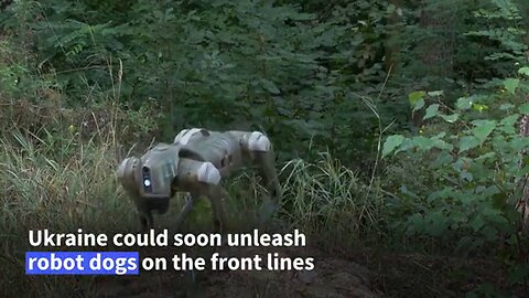 Ukraine to Unleash Robot Dogs