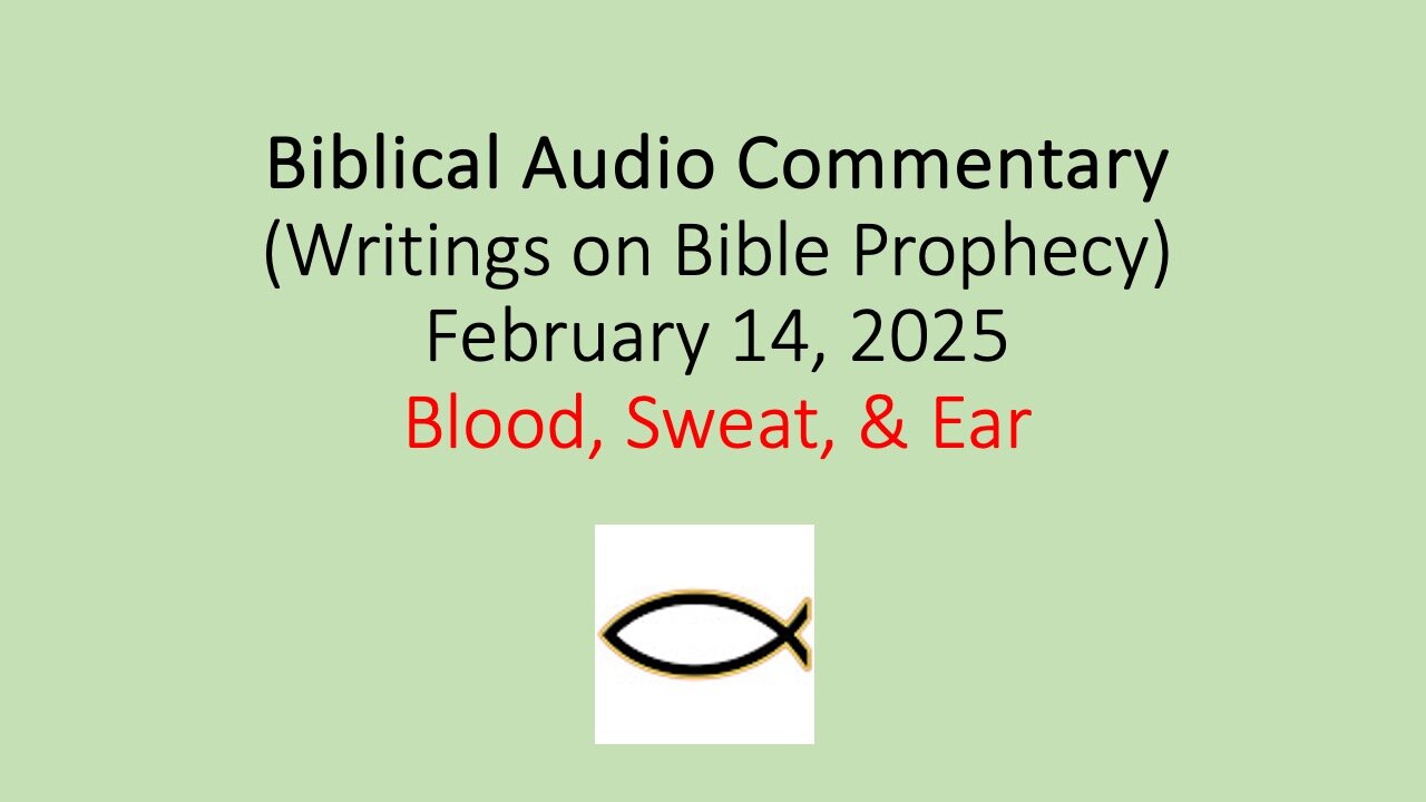 Biblical Audio Commentary – Blood, Sweat, & Ear