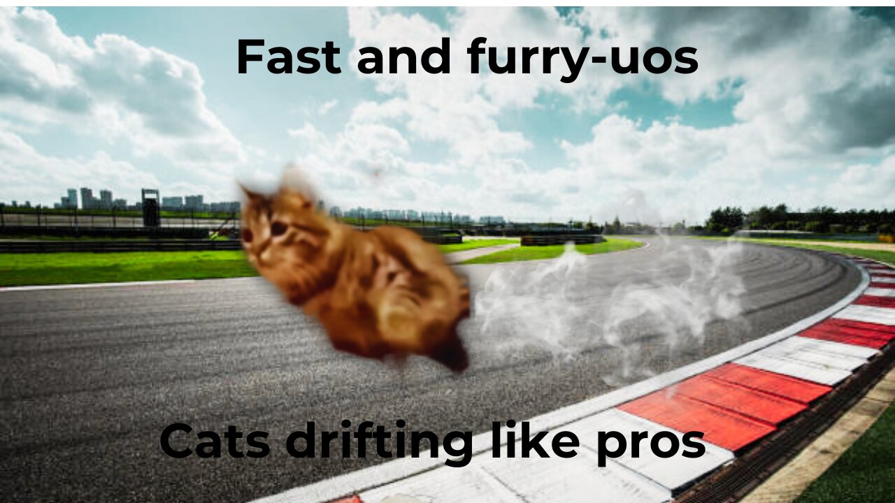 Title Fast & Furry-ous: Cats Drifting Like Pros!