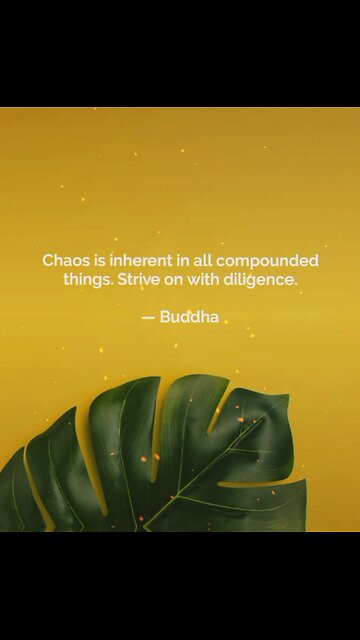 Your Qoute For A Day 170