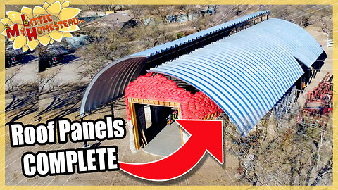 COMPLETE Roof Panels & What We'd Do Differently on our Shop | Monthly Peek Ep404