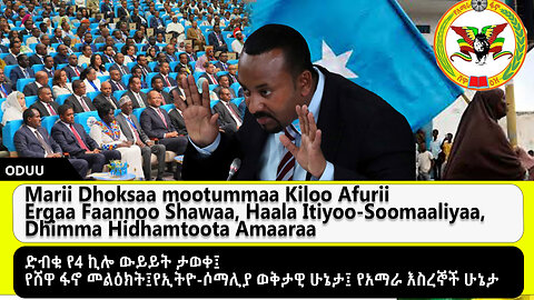 Marii Dhoksaa mootummaa Kiloo Afurii Ergaa Faannoo Shawaa, Haala Iziyoo-Soomaaliyaa,