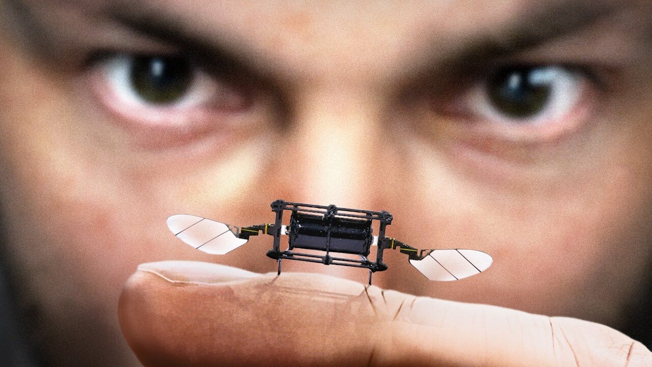 Why Is MIT Making Robot Insects?