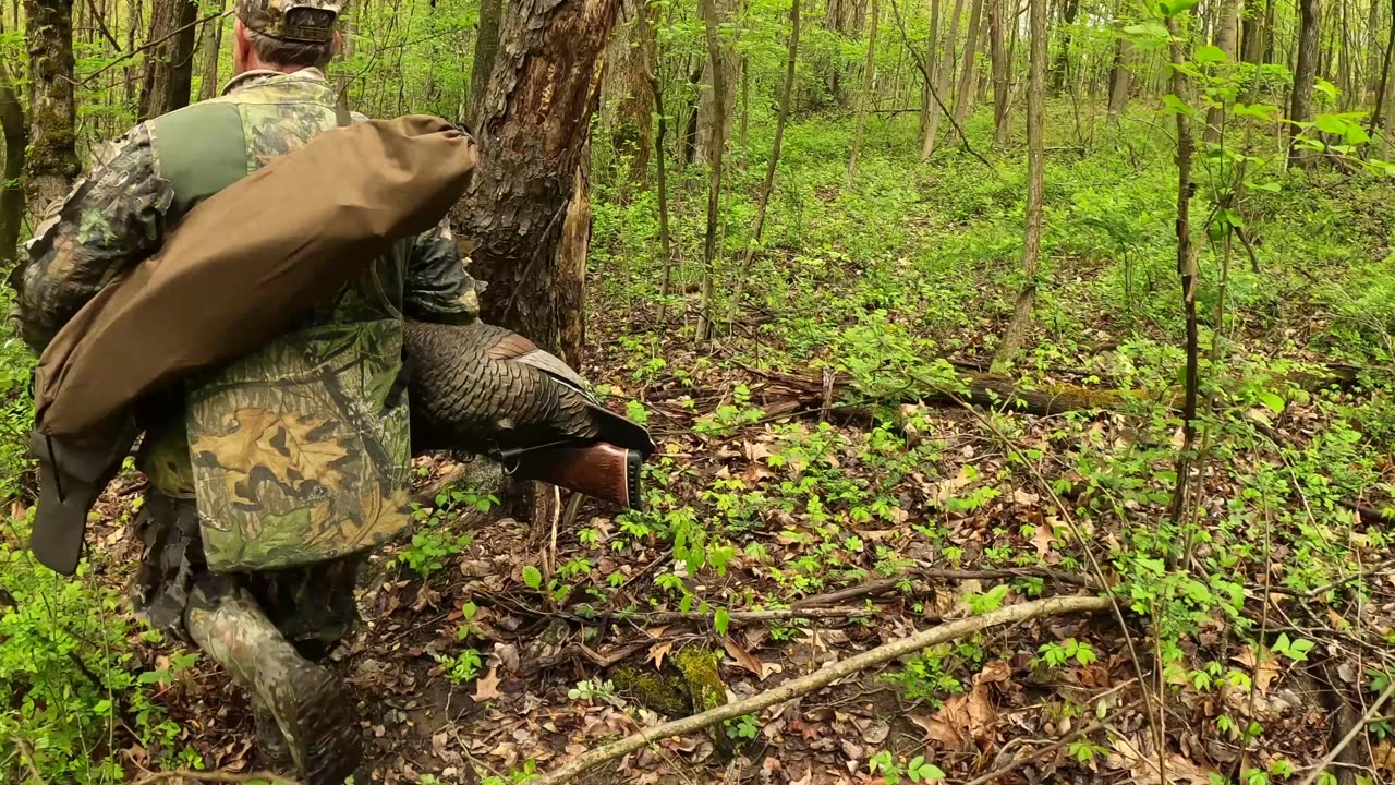 Spring Gobbler Season 2024