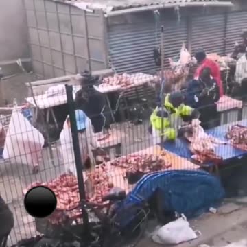 In France, meat is sold on pavements without any respect for health and hygiene