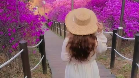 Summer south korea