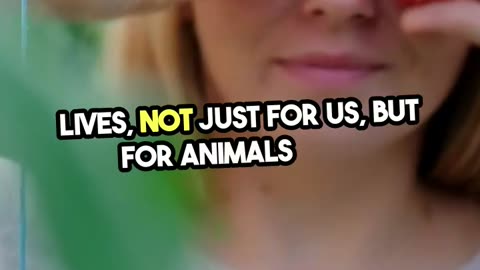 Simply Follow The 1 Month Vegan Challenge And You Will Succeed