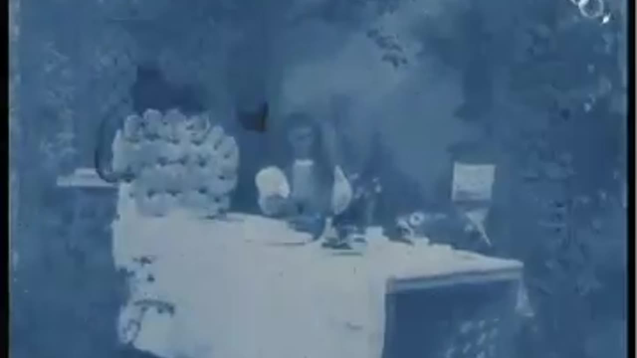 Alice in Wonderland (1903) - Percy Stow, Cecil M. Hepworth, Samuele De Marchi