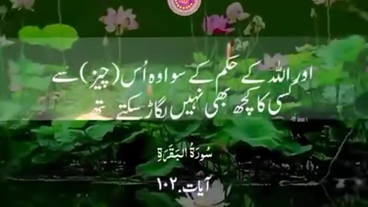 Beshak 💯