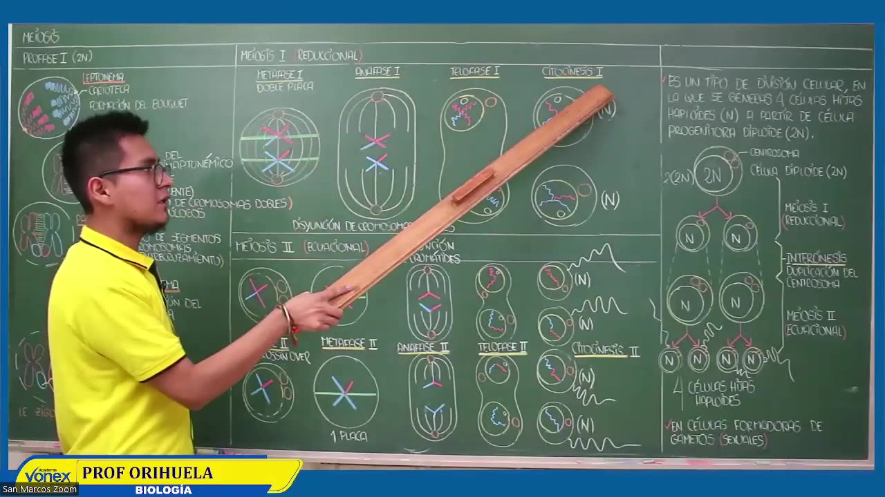 VONEX SEMIANUAL 2023 | Semana 11 | Biología S1