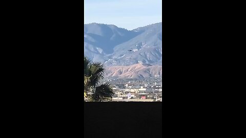 Alien 👽 or Fairy 🧚