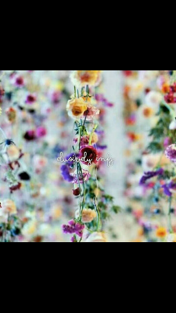 Elusively INFJ Daily Insight: Psalm 149