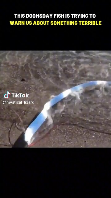 Doomsday Fish Resurfacing & What It Might Indicate