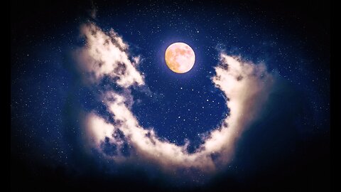 #35: Business Insights & The Moon