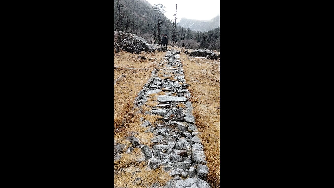 unknown creature found in the hills
