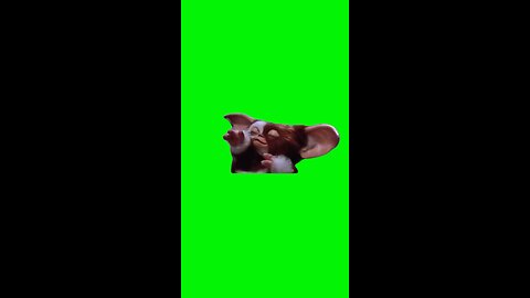 Gizmo Dancing | Green Screen