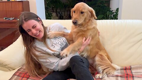 Dogs Cry With Happiness When Reunited With Family