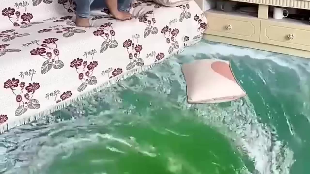 3d