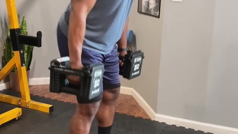 Form Check; Dumbbell Hang Clean