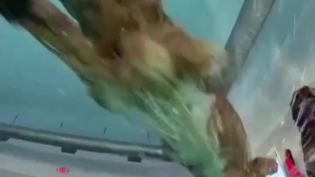 Tucker & Todd in the pool