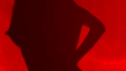 HOT SILHOUETTE #1