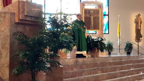 Father Martin Dunne homily 1/26/25 Luke 1:1-4; 4:14-21