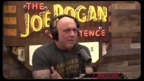 Joe Rogan : Weird Gavin Shoulder Swaggin' clip