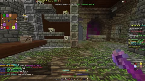 Skyblock FLOOR 7 [#528]