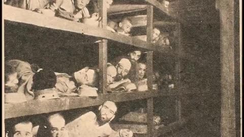 holocaust-the truth is like a lion