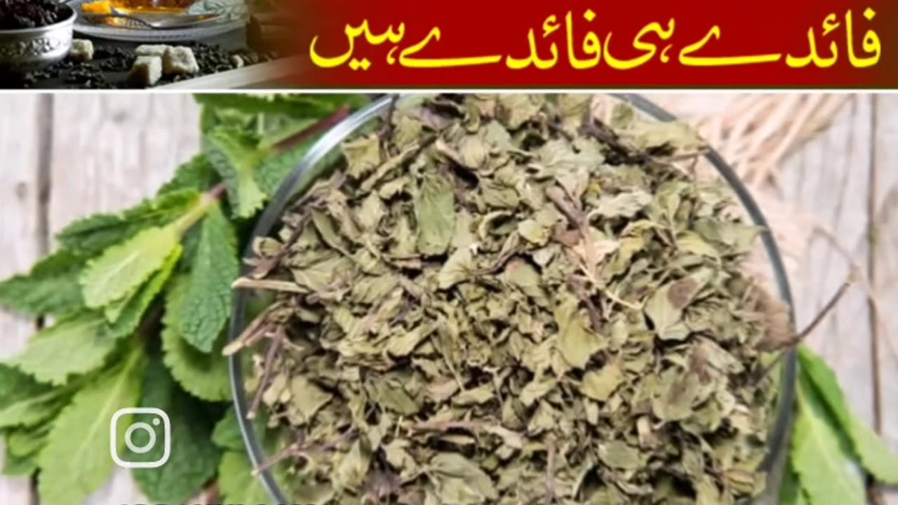 چائے کے ادھی حضرات کو مختلف بیماریاں لاحق ہو سکتی ہیں اور وہ یہ سدا بہار کہوہ استعمال کریں