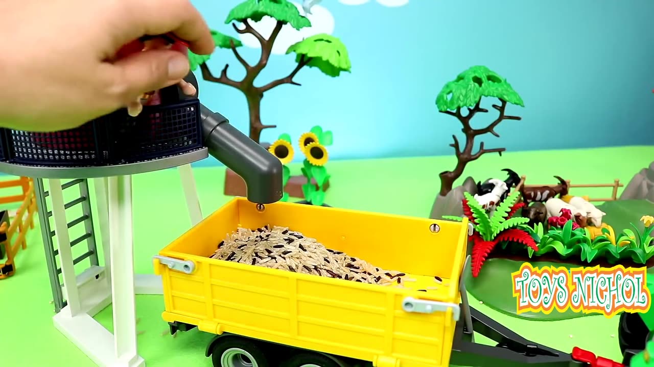 Feed Horses and Cows in the Afternoon before Heavy Rain Falls