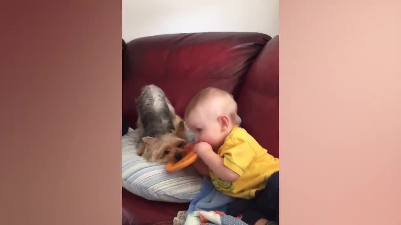 🤣Funny kids animals pet Video