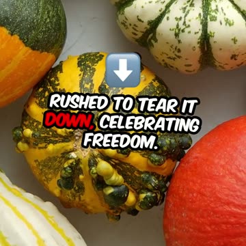 History of the Berlin Wall