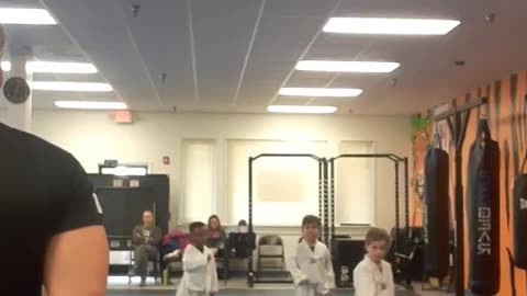 Tong Hap Kwan Hoshinsul Kickboxing & Chon Tu Taekwondo Class Part 2
