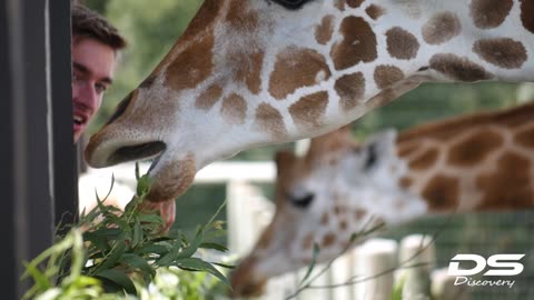 DS DISCOVERY: Lake Tobias Wildlife Park