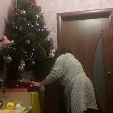 Decorating the Christmas tree 2025