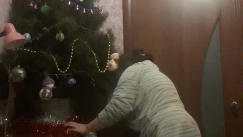 Decorating the Christmas tree 2025