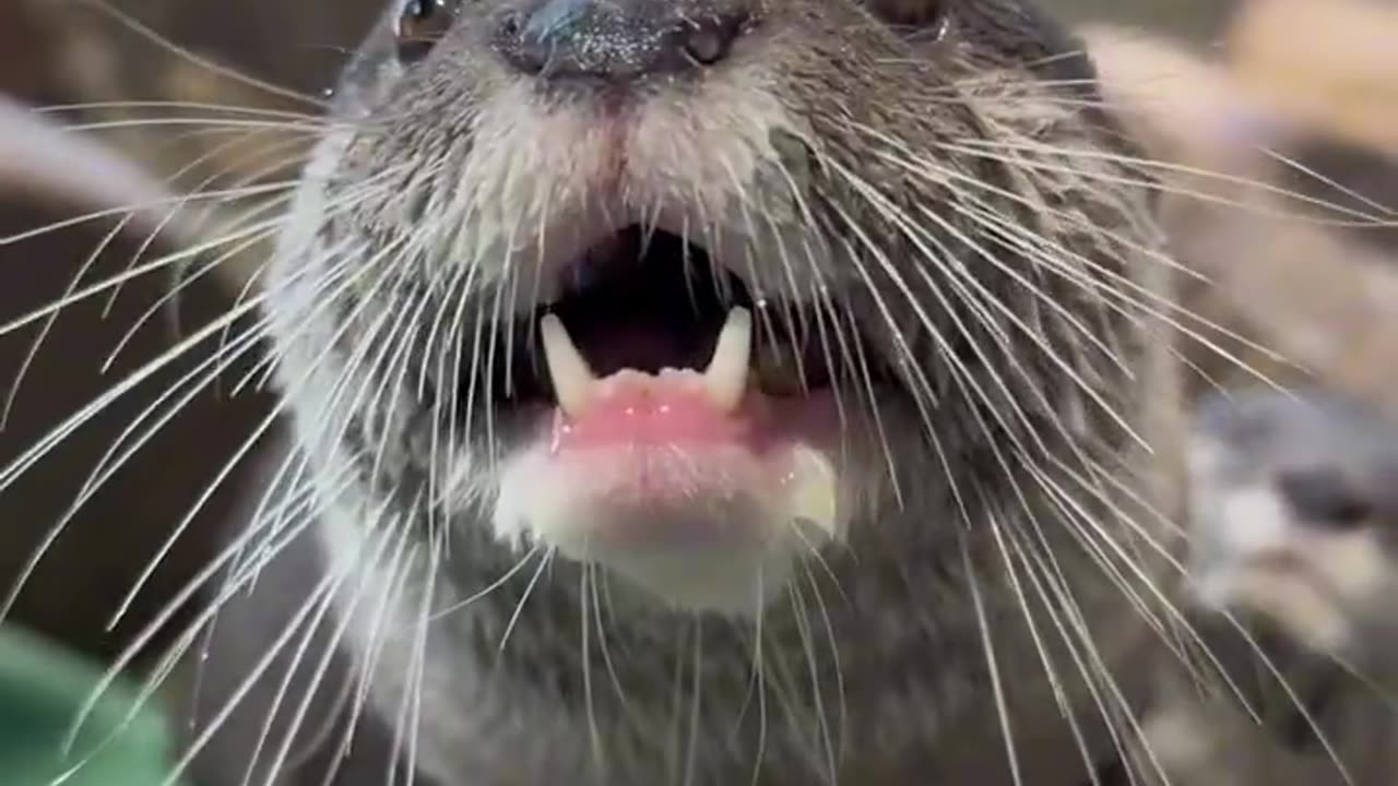 Have a great week everyone!