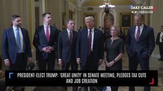 President-Elect Trump: 'Great Unity' in Senate Meeting, Pledges Tax Cuts and Job Creation