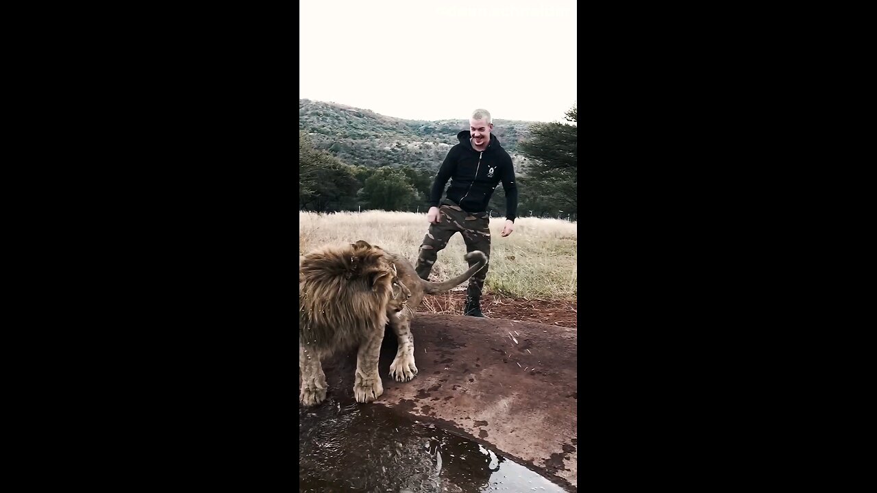 Funny animals video