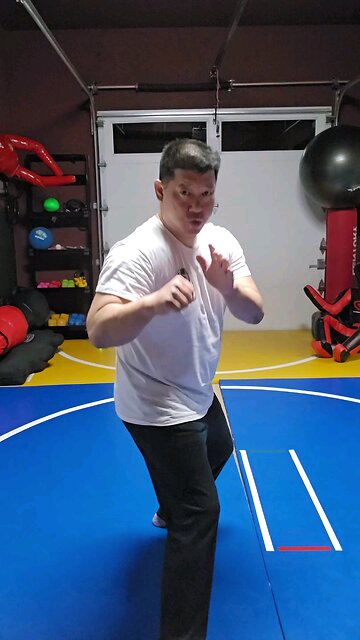 WTD Hand Combination S, Bridge Set (Rank 1)