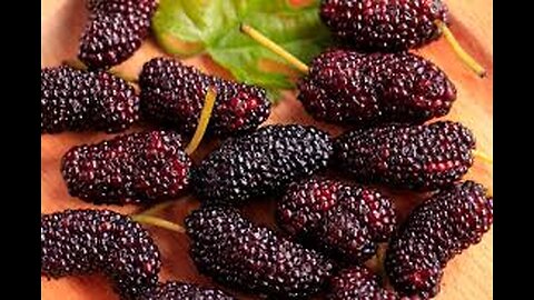 What are the health benefits of mulberries? #MulberryFrenzy