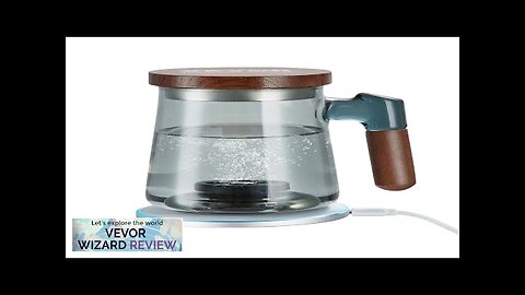 VEVOR Hydrogen Water Cup 400 ml / 14.1 oz Hydrogen Generator SPE Review