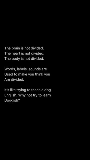 Only zoo animals use language