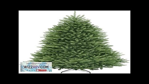 National Tree Company Artificial Full Christmas Tree Green Dunhill Fir Includes Stand Review