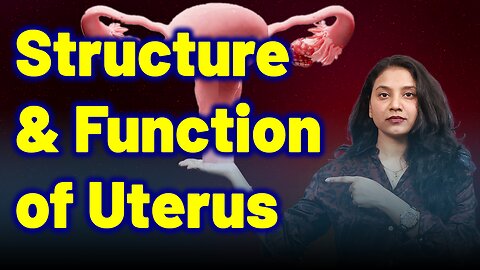 Structure and function of Uterus . | Treatment & Cure | Homeopathy, Medicine