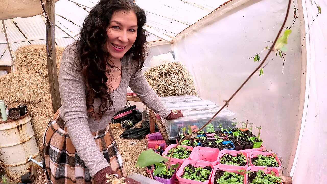 A Day in the Greenhouse/Winter Garden VLOG