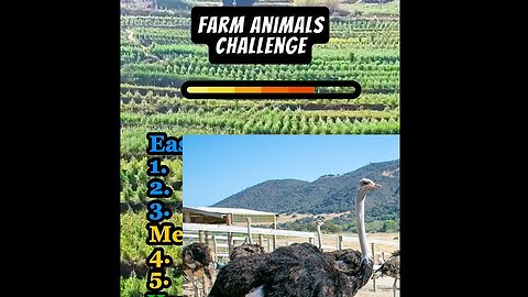 Farm Animals Challenge