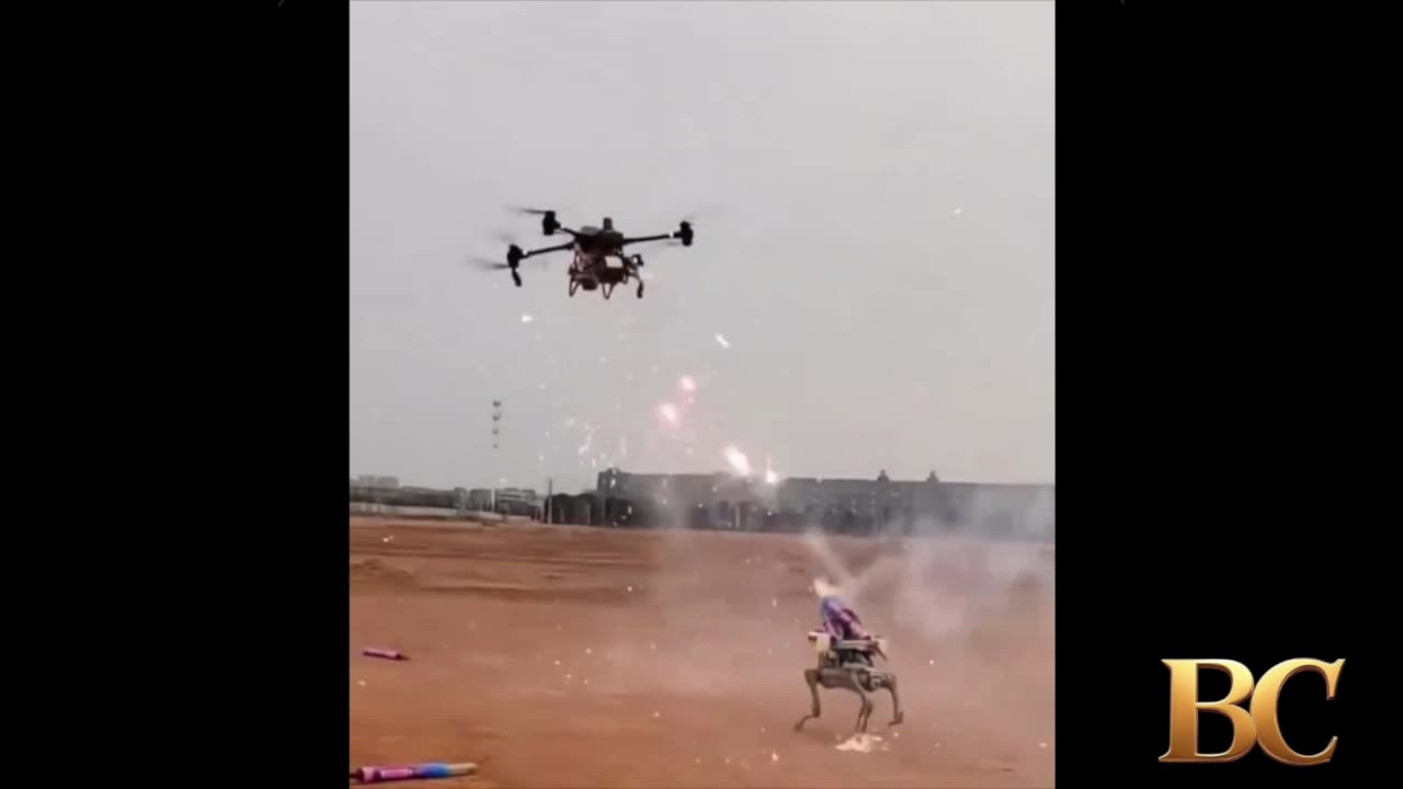 Watch drone, robot dog face off in futuristic-like pyrotechnics battle